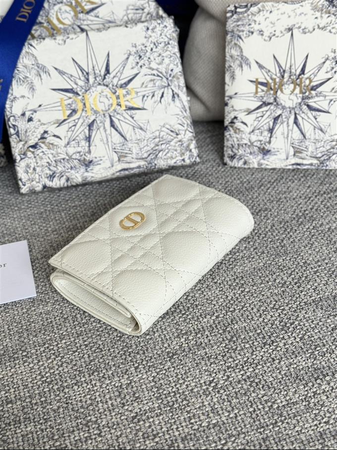 2025228Y240P20376144