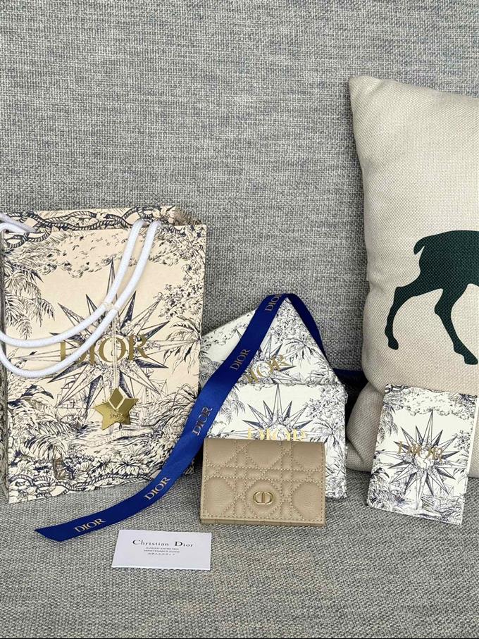 2025228Y240P20376237