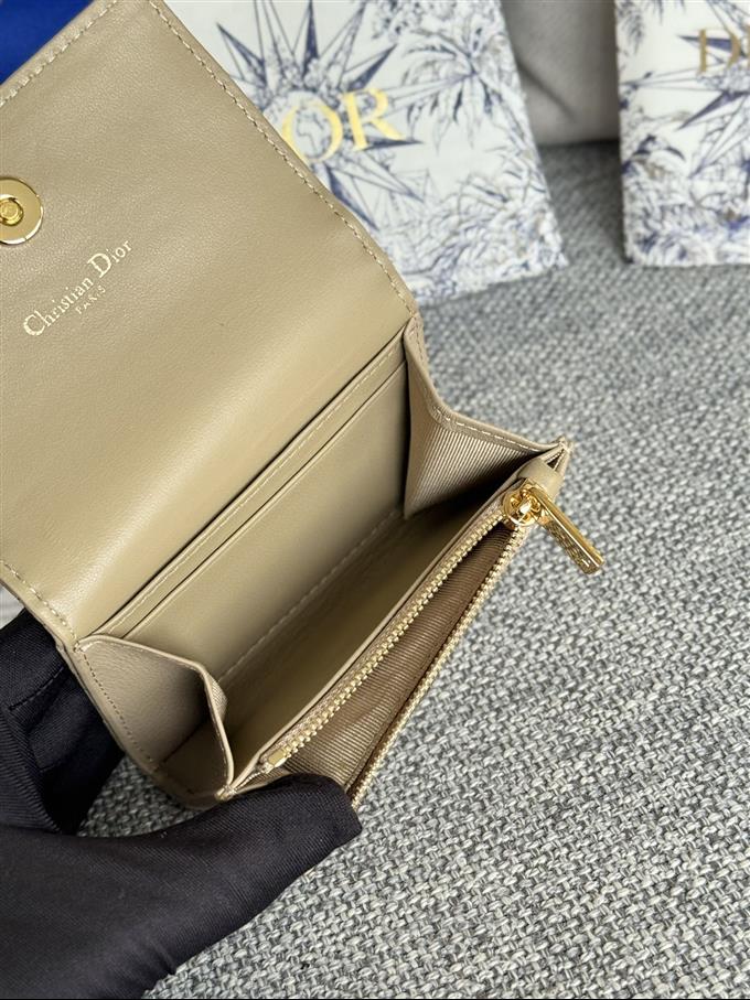 2025228Y240P20376347