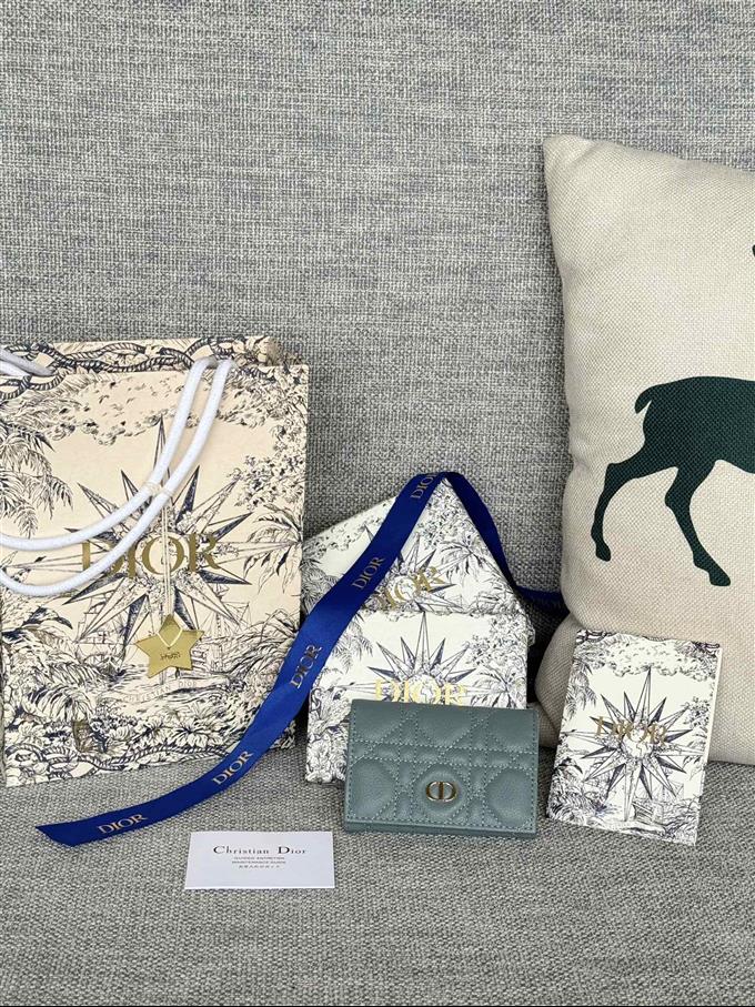 2025228Y240P20376520