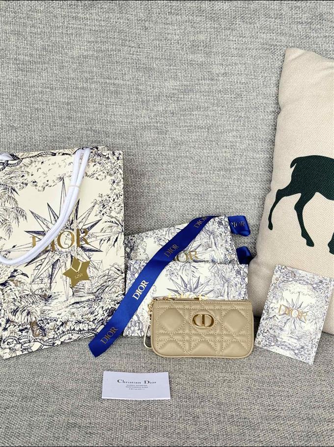 2025228Y250P18212864