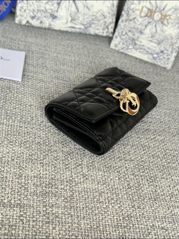 2025228Y250P182129137