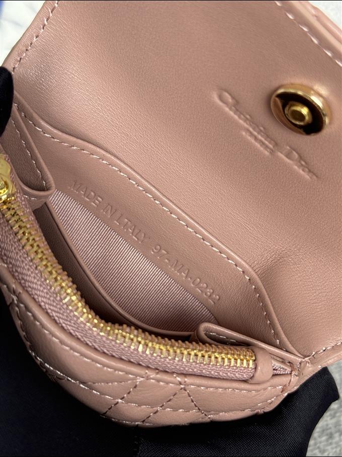 2025228Y250P18212959