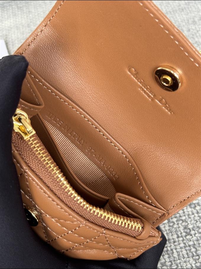 2025228Y250P182129609