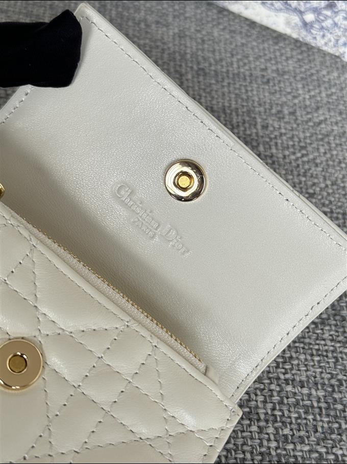 2025228Y250P182129734