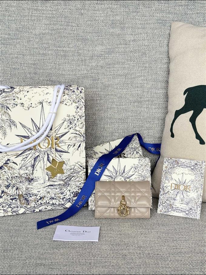 2025228Y250P182129923