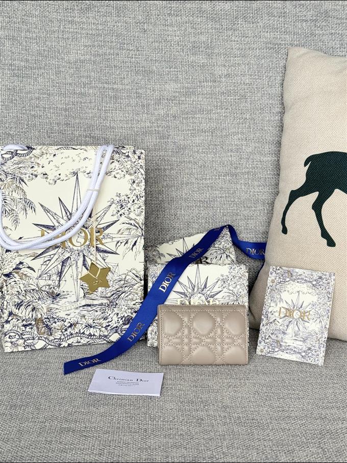 2025228Y250P182129938