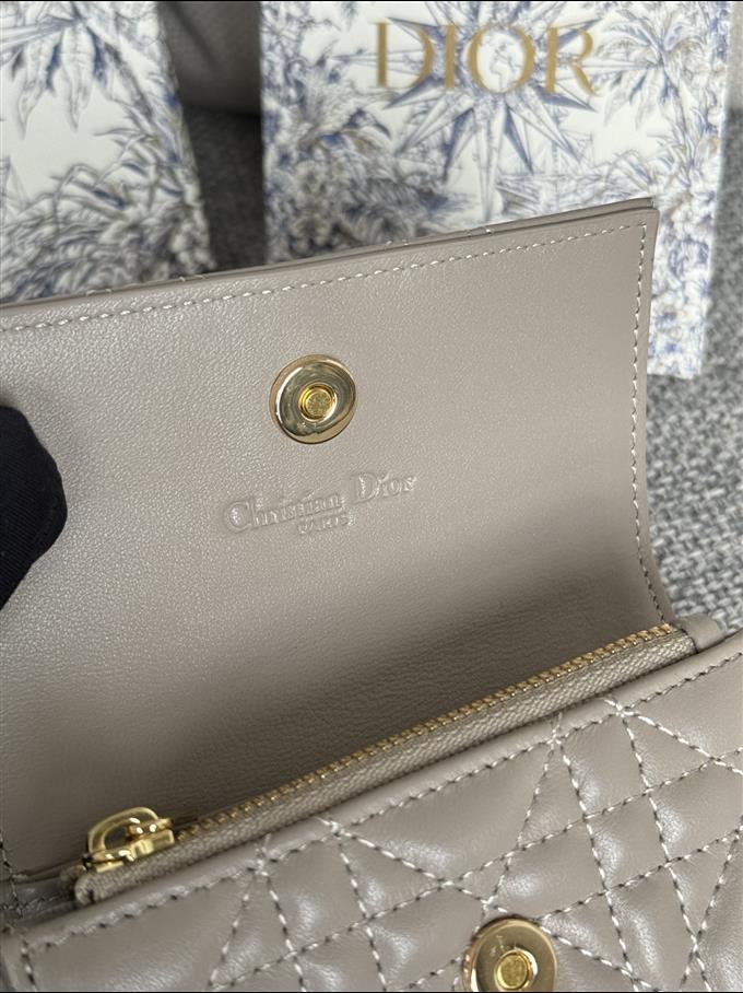 2025228Y250P18213017