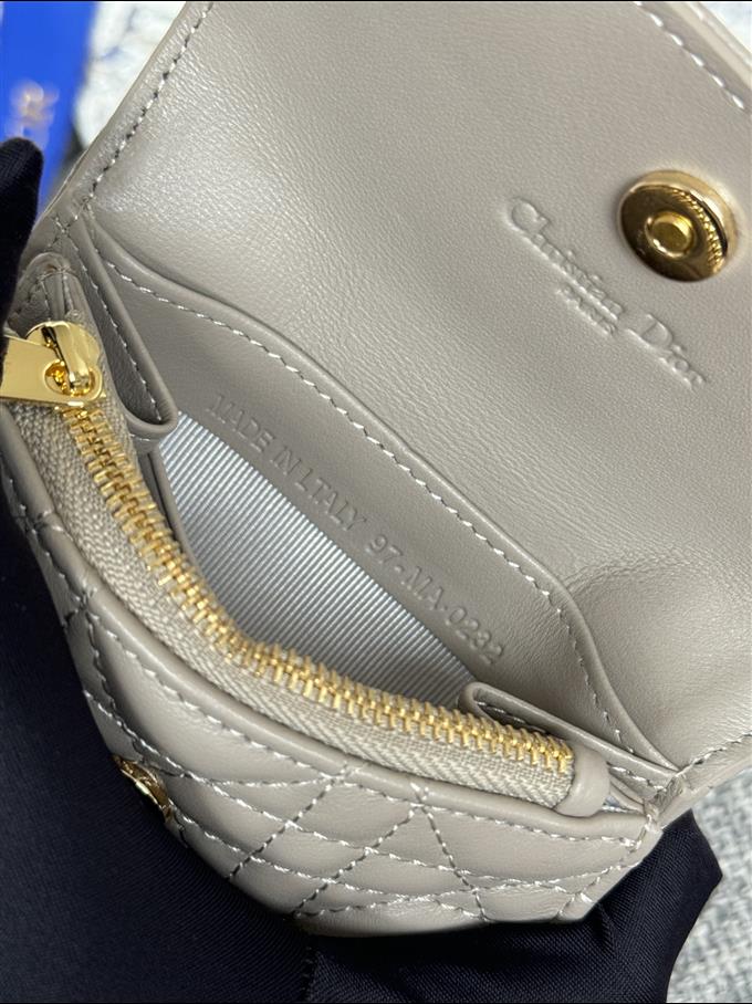 2025228Y250P18213049