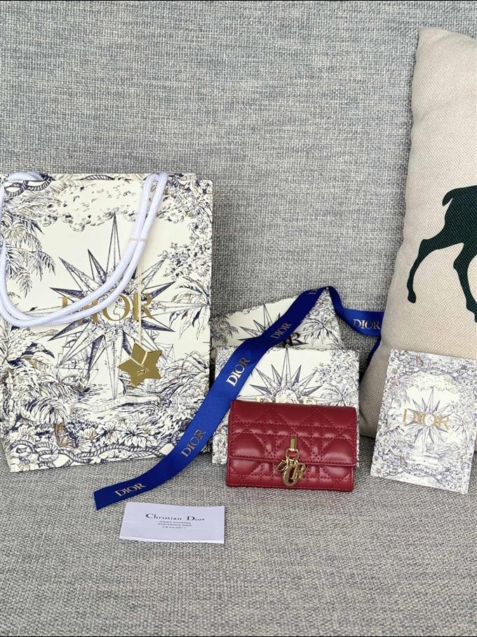 2025228Y250P18213064