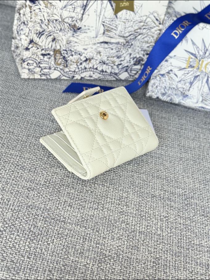 2025228Y250P203546234