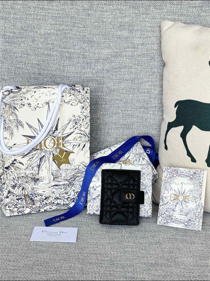 2025228Y250P203546562