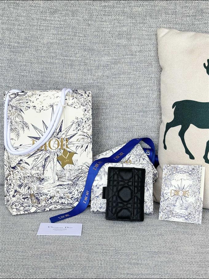 2025228Y250P203546577