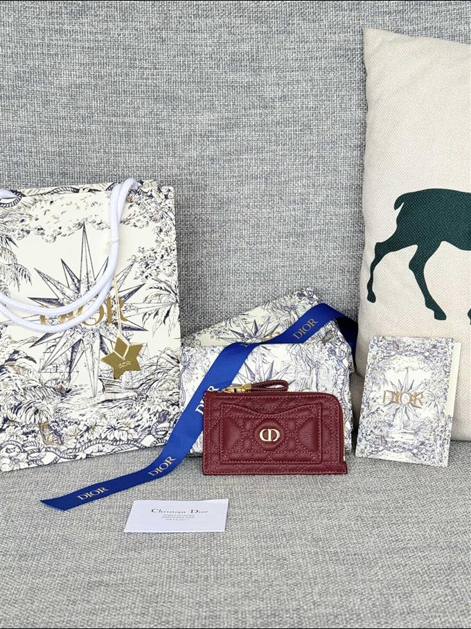 2025228Y250P20376663