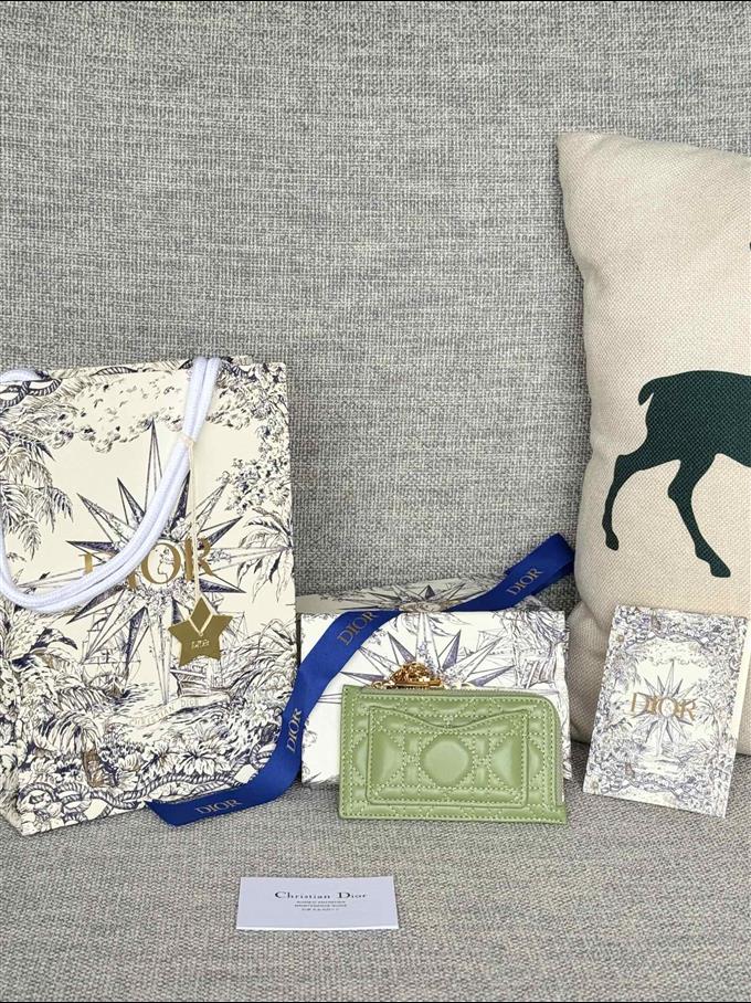 2025228Y250P20376804