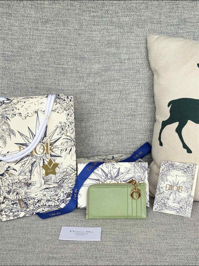 2025228Y250P20376819