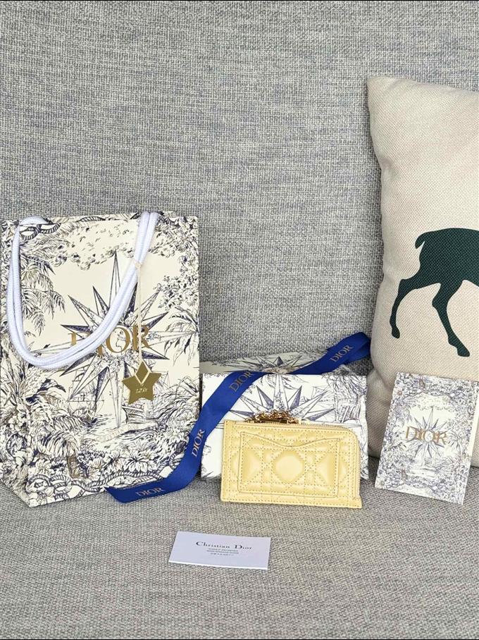 2025228Y250P20376946