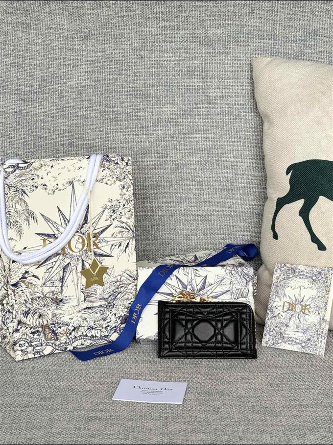 2025228Y250P20377655