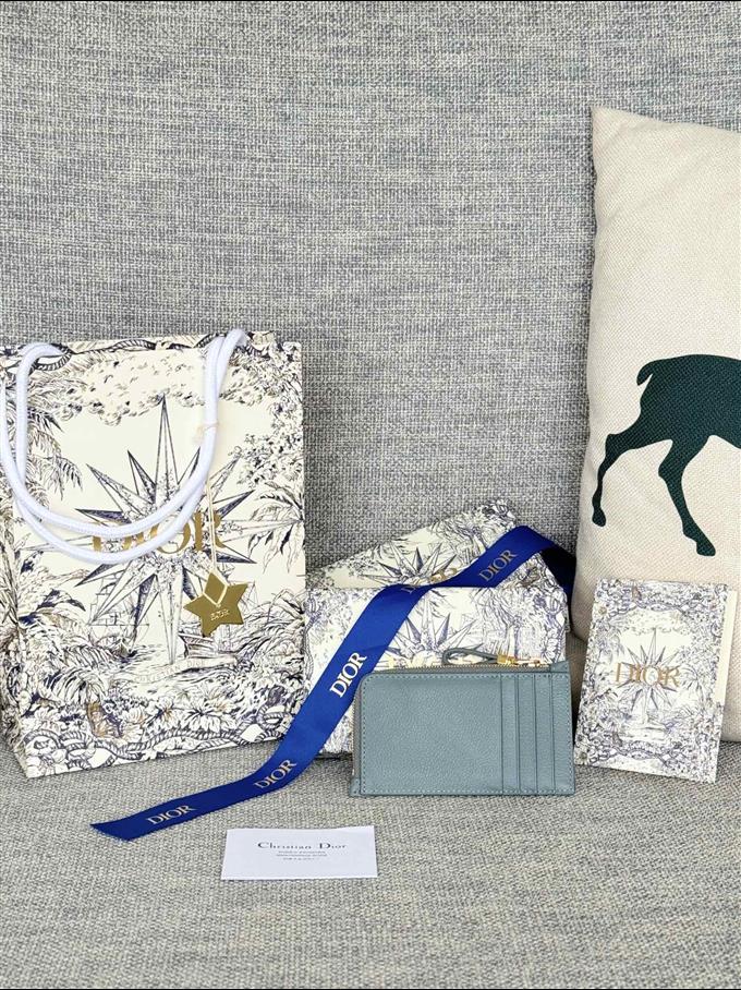 2025228Y250P20378668