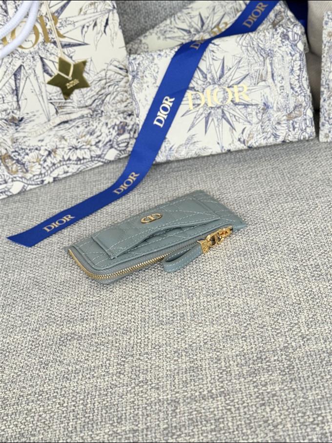 2025228Y250P20378684