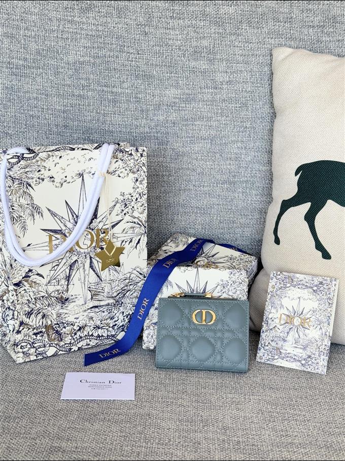 2025228Y260P182131480