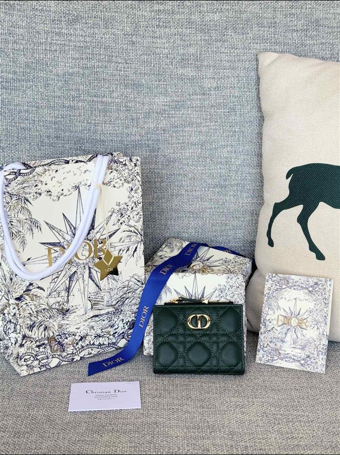 2025228Y260P182131619