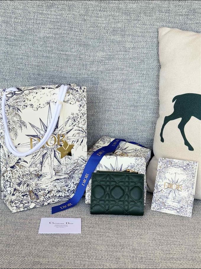 2025228Y260P182131635