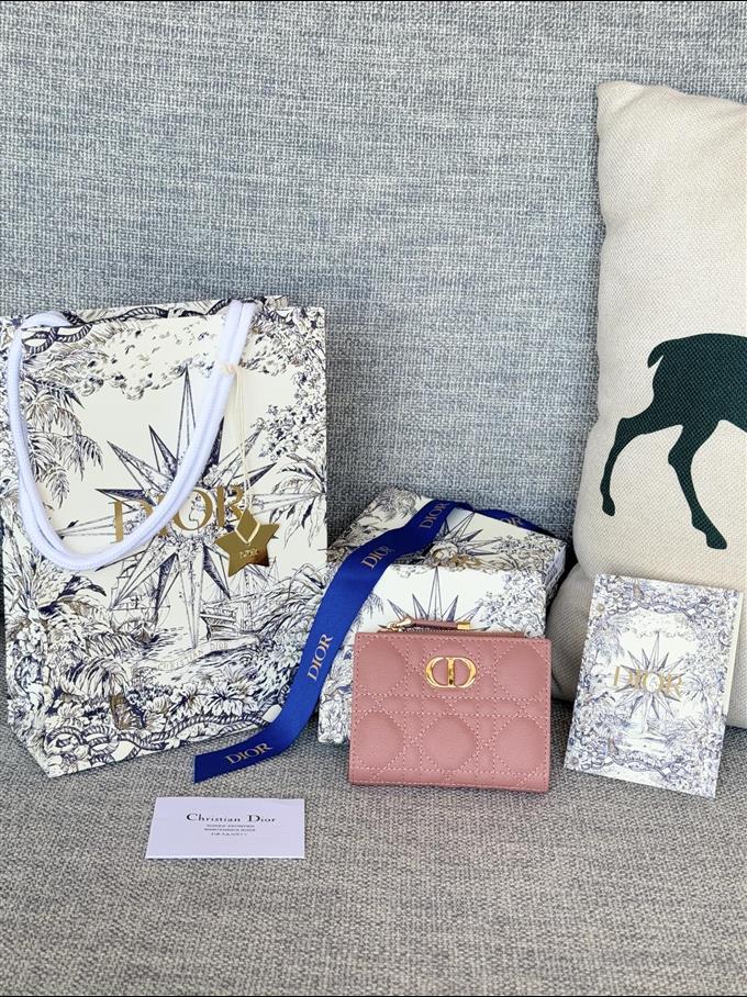 2025228Y260P182131764