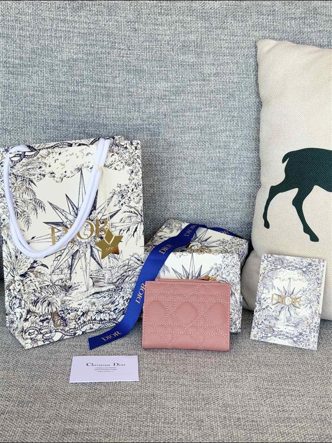 2025228Y260P182131779