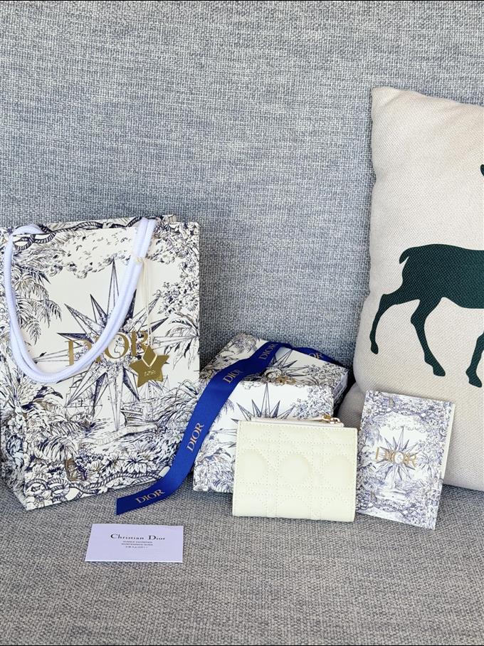 2025228Y260P182132484