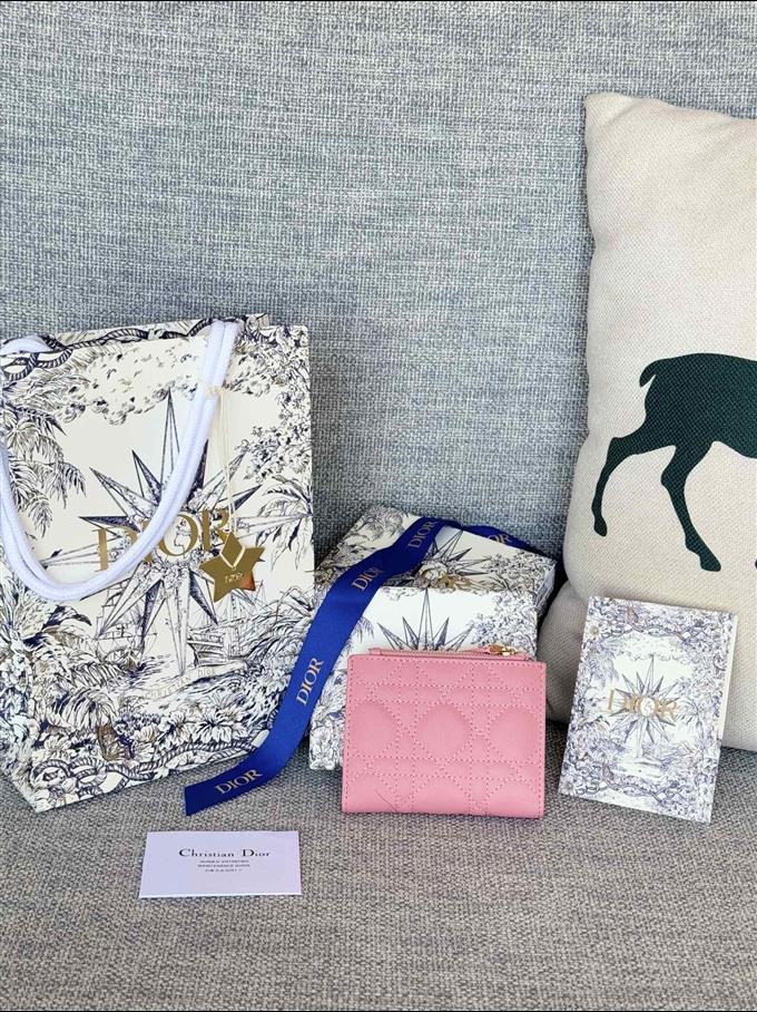 2025228Y260P18213260