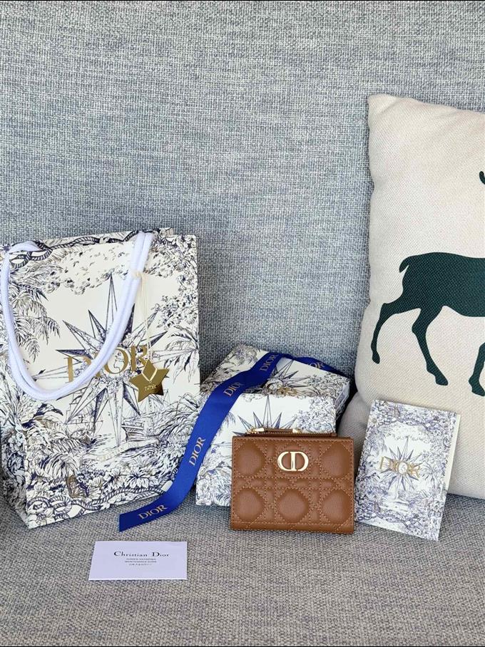 2025228Y260P182132609