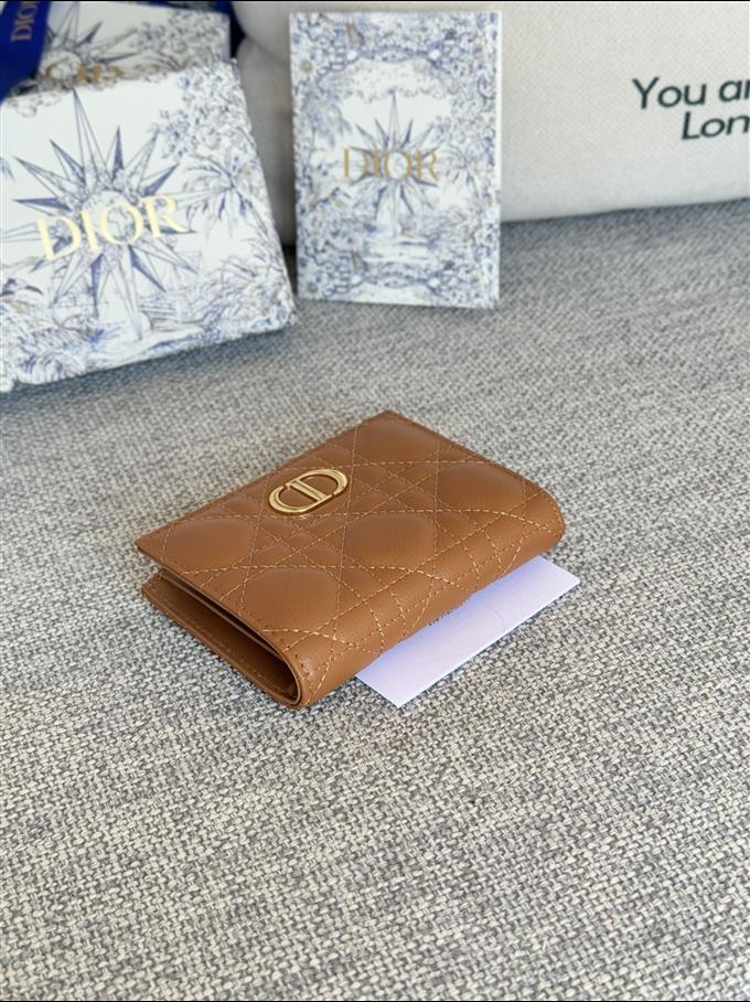 2025228Y260P182132656