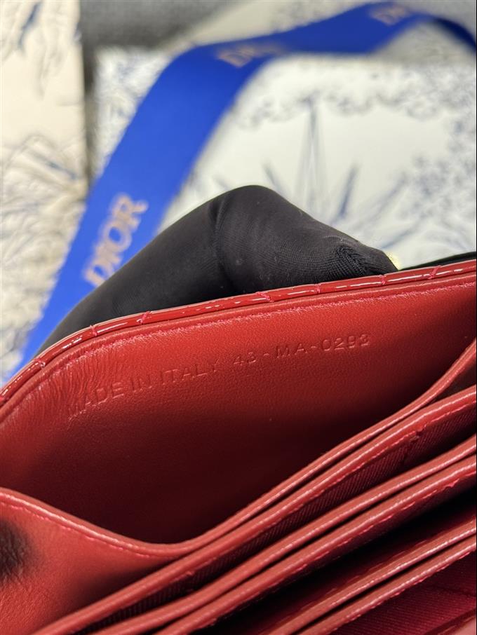 2025228Y260P203548944