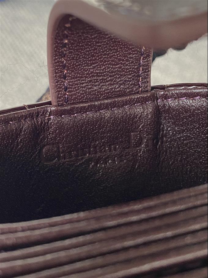 2025228Y260P203549512