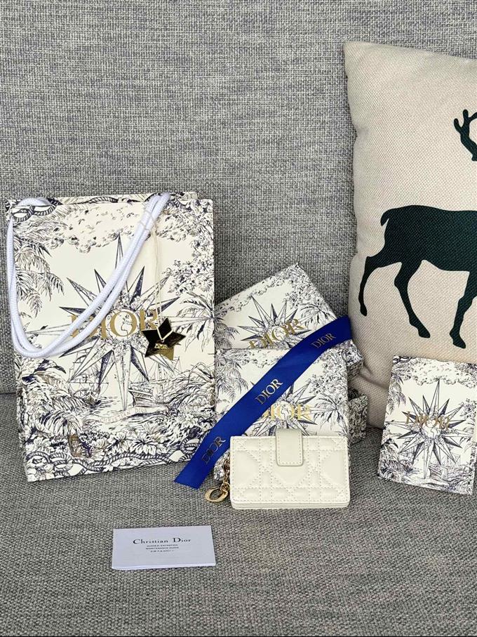 2025228Y260P203550376