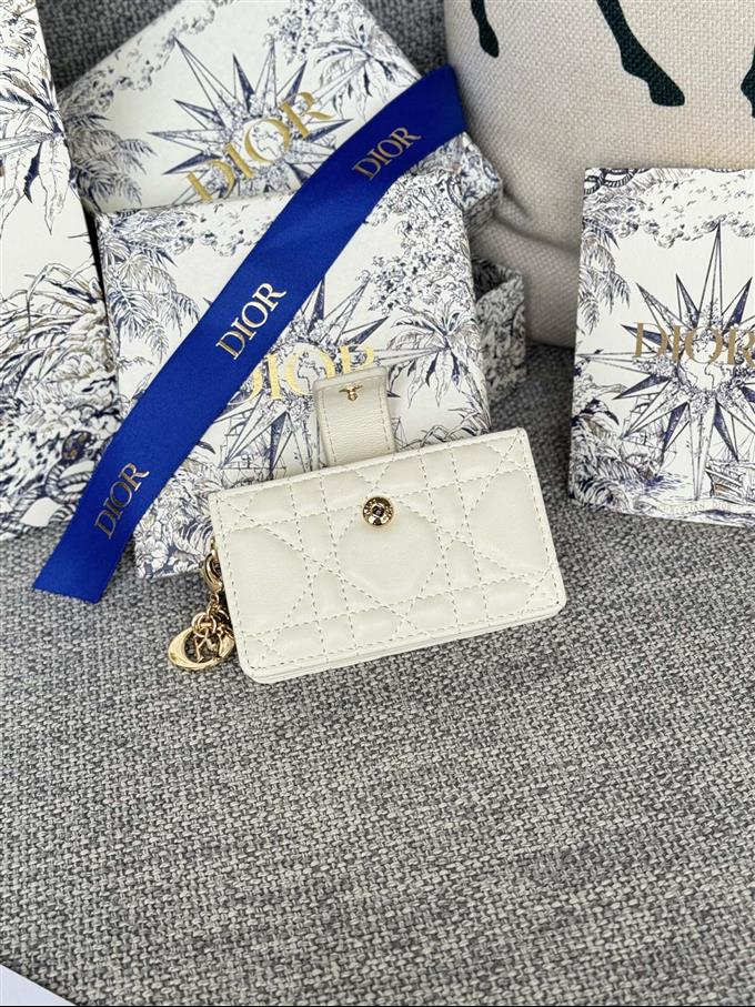 2025228Y260P203550453