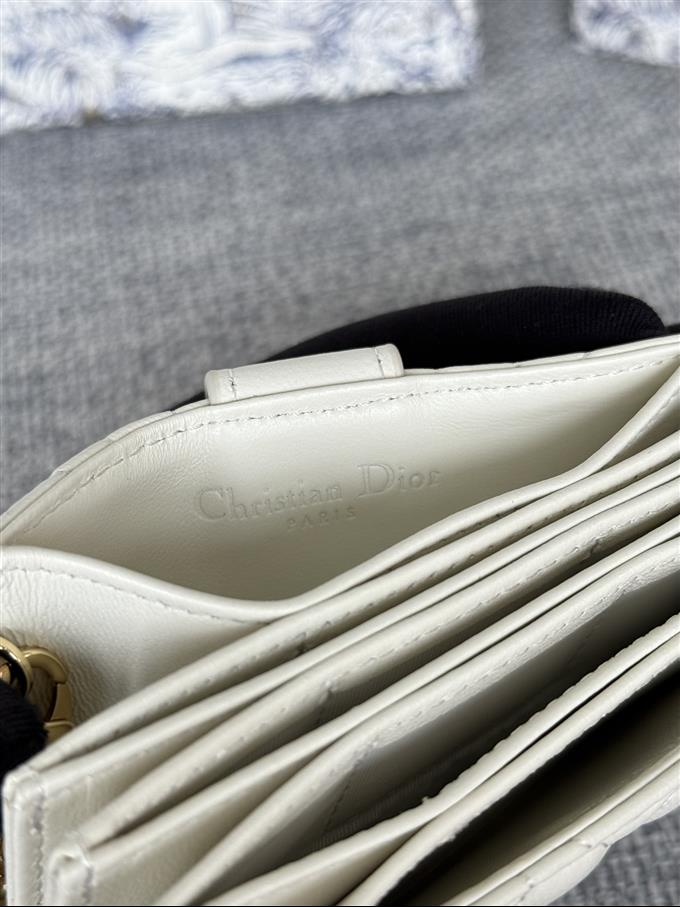 2025228Y260P203550500