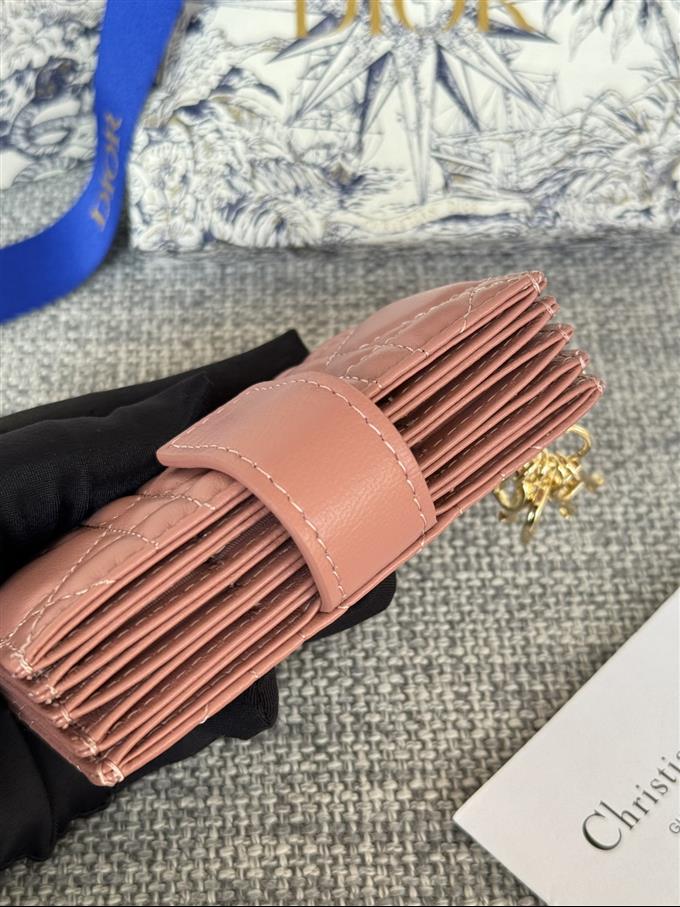 2025228Y260P203550578