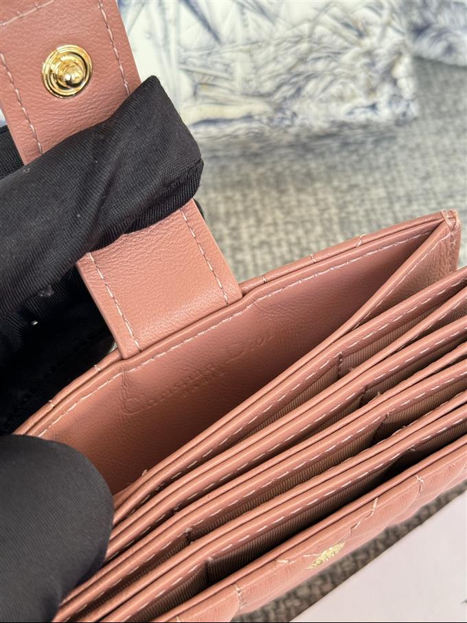 2025228Y260P203550610