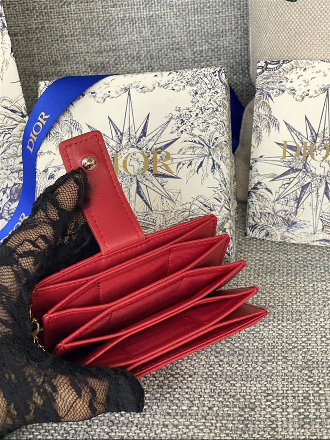 2025228Y260P203550767