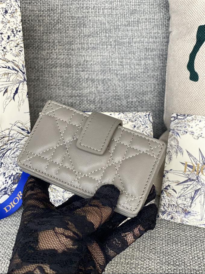 2025228Y260P203550830