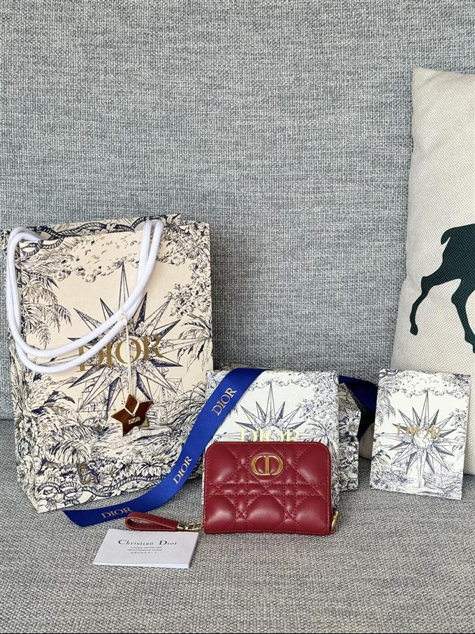 2025228Y270P182133456