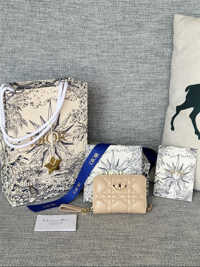 2025228Y270P182133744