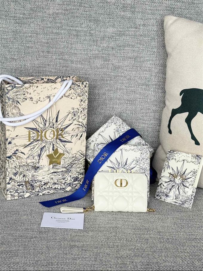 2025228Y270P182134356