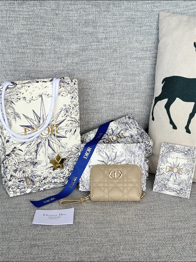 2025228Y270P182134497