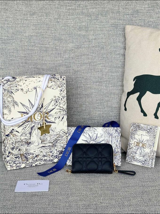 2025228Y270P182134654