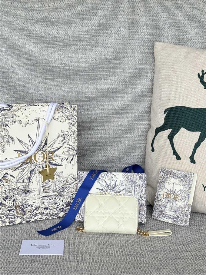 2025228Y270P182134796