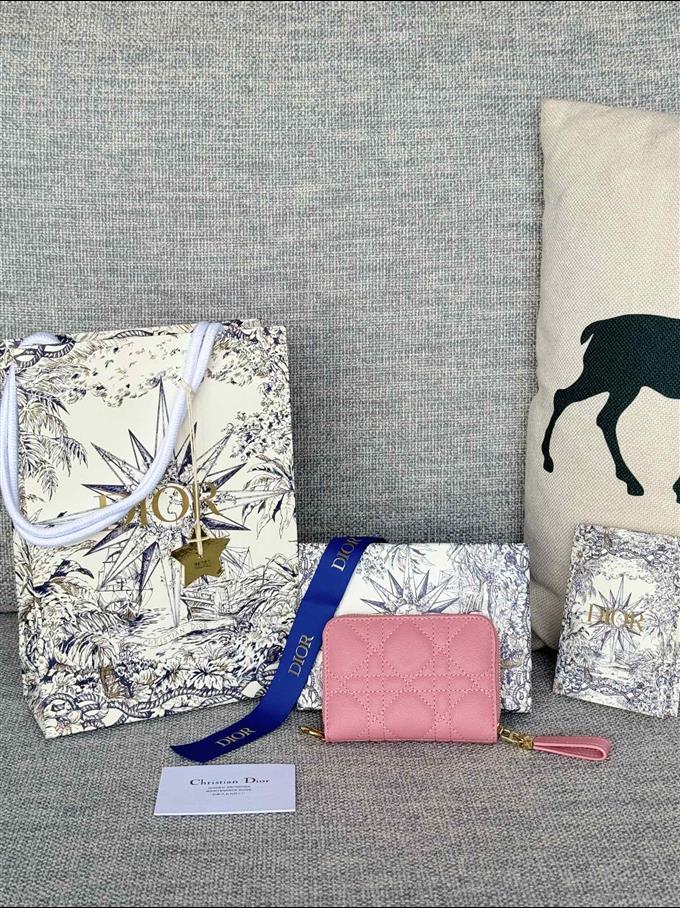 2025228Y270P182135505