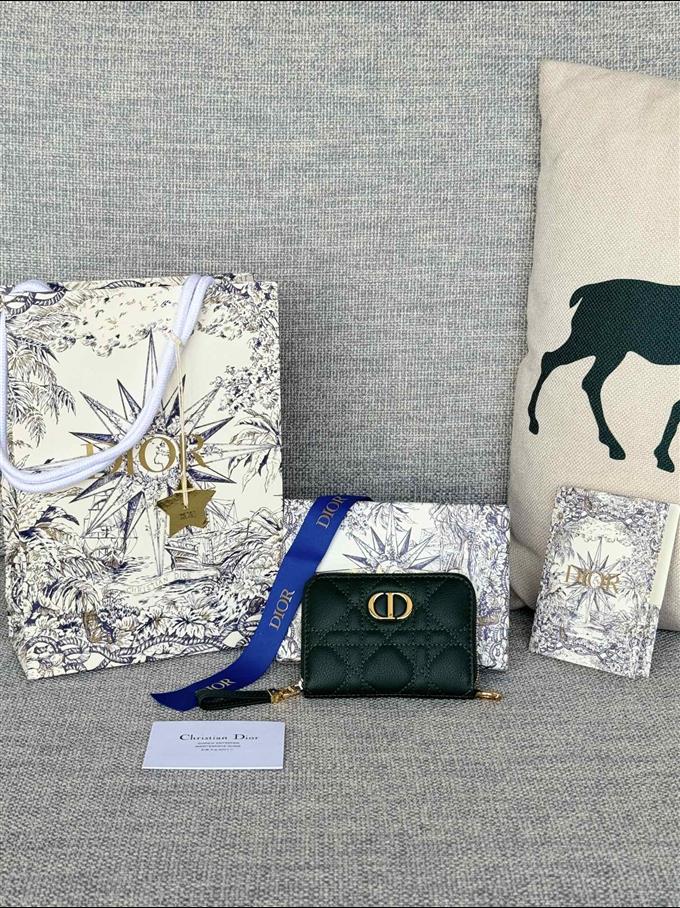 2025228Y270P18213564